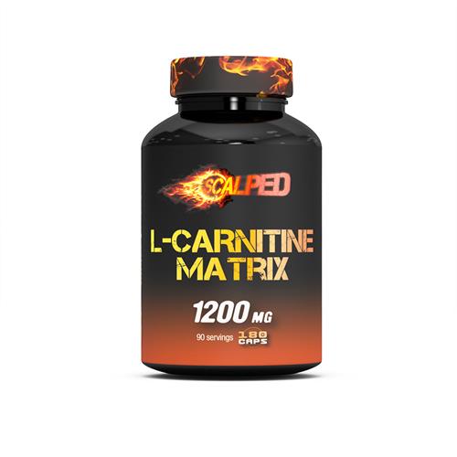 L Carnitine Matrix Pot de 180 Gélules
