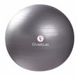 Gymball gris GRIS 65 cm diamètre