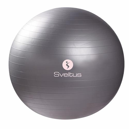 Gymball gris GRIS 65 cm diamètre