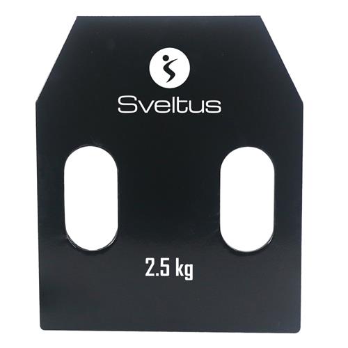 Plaques 2.5 kg en Acier avec poignées (la paire)