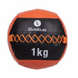 Wall ball 1 kg