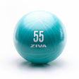 ABS Core Fit Ball 55cm