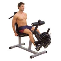 Leg Curl / Extension LCE365