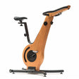BIKE Merisier