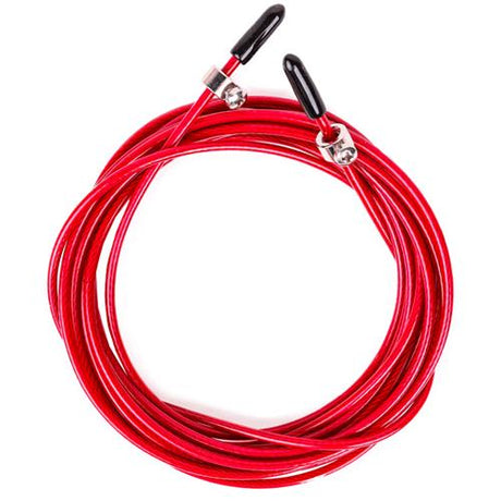 Câble de rechange 2,5 mm